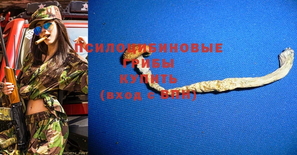 a pvp Горнозаводск