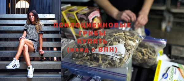 a pvp Горнозаводск