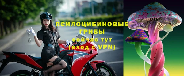 метадон Горняк