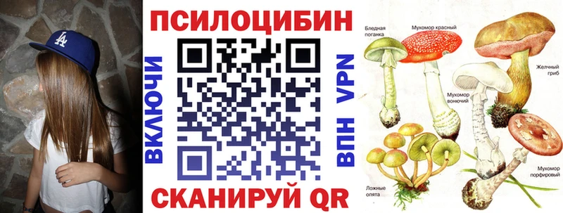 Купить где  Каменск-Шахтинский  Псилоцибиновые грибы мицелий 